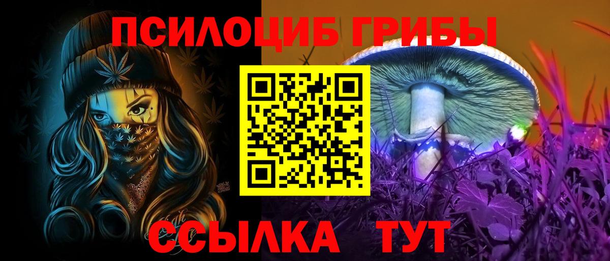 Галлюциногенные грибы Cubensis Алейск